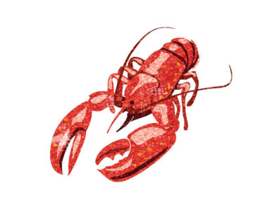 Lobster by Jon Rogers