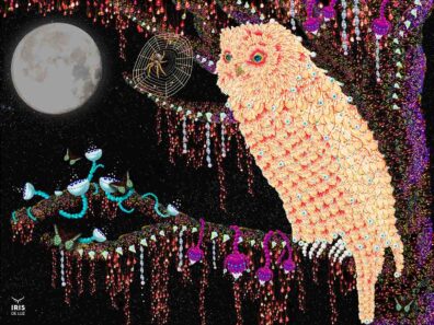 Night Owl by Iris de Luz