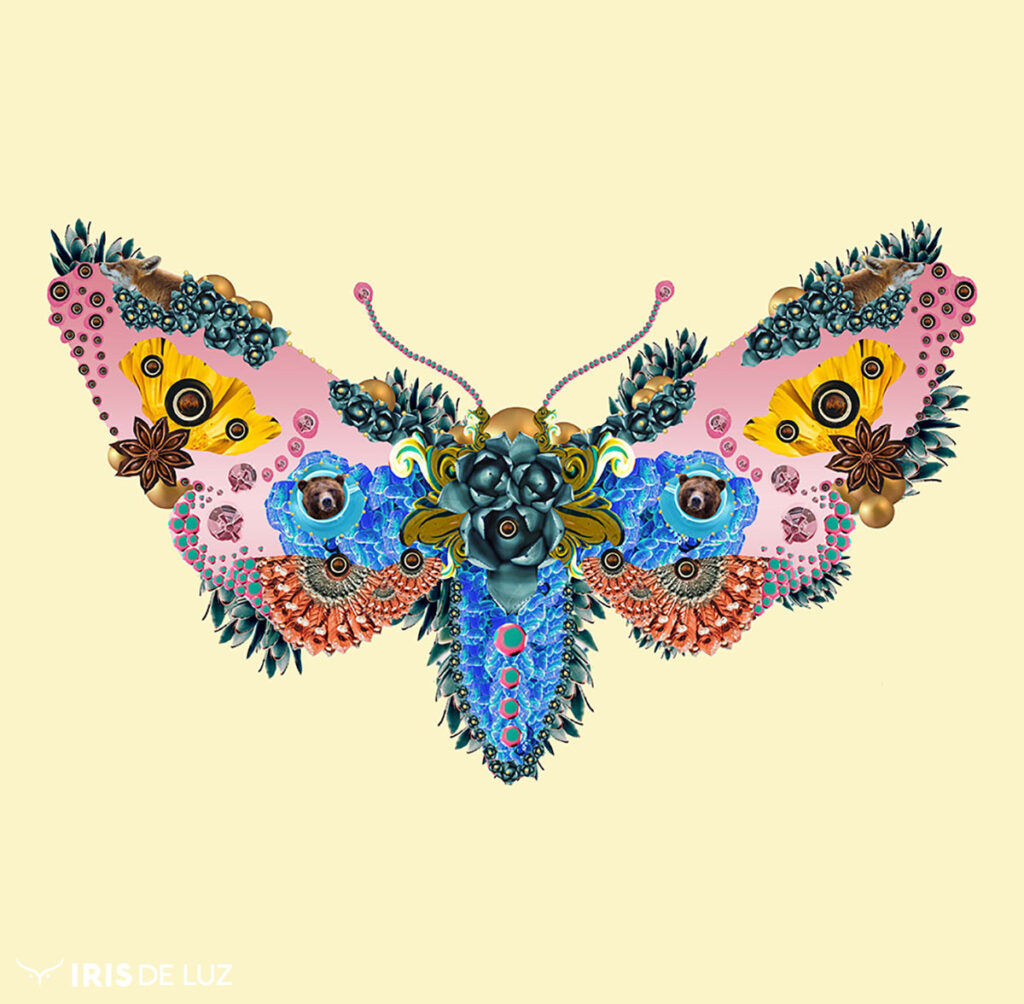 Moth by Iris de Luz