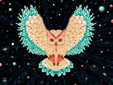 Owl by Iris de Luz